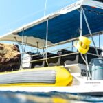 1.5 Hour Elite Whale Watch Kaanapali Beach - Meeting Point and Duration