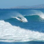 1.5 -Hour Guided Whale and Marine Life Tour - The Unique Speed of the North Shore Marine Tour