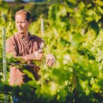 1.5-Hour Swanaford Vineyard Tour And Tasting Experience - The Guided Walk Through the Vineyard