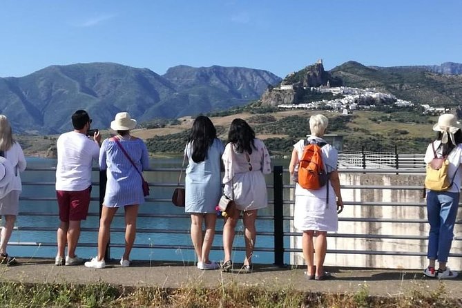 1 Day Excursion to White Villages and Ronda - Visit to Molino El Vínculo: Olive Oil Production