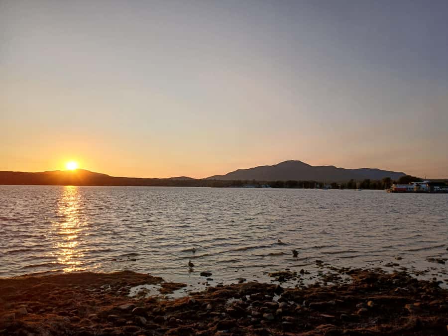 1-day immersive tour of Magog and surrounding area - The Starting Point at Couche Tard: Easy Access for Everyone