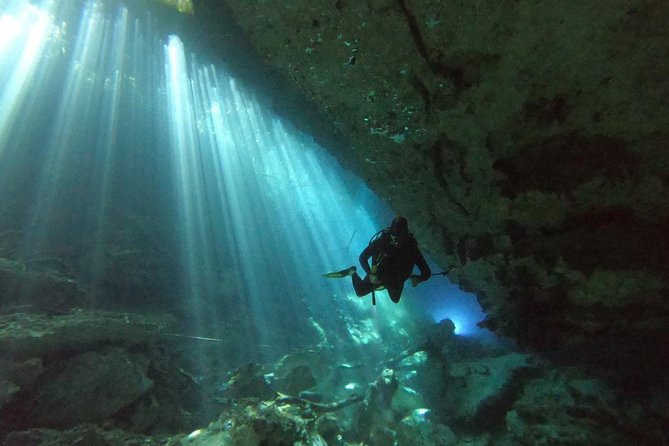 1 day of diving in Cenotes price for 2 certified divers - Logistics: Meeting Points, Transport, and Group Size