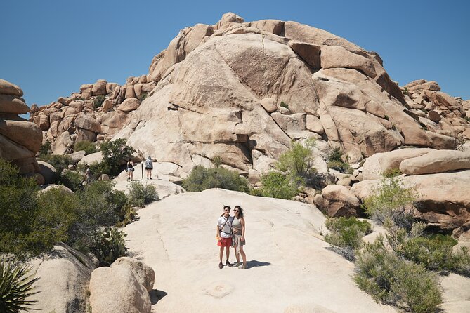1-day Private Tour to Joshua Tree National Park from Los Angeles - Breakfast in Joshua Tree: Fuel for the Day