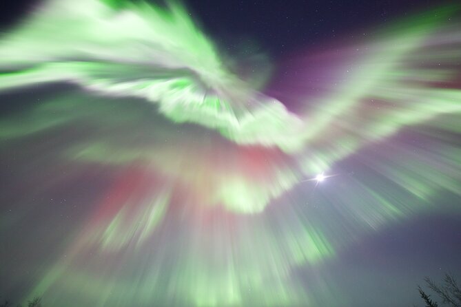 1 Day Shared Tour Arctic Circle and Aurora Viewing in Alaska - Scenic Drive Along the Elliott Highway