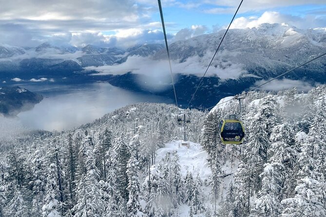 1 day Whistler Tour from Vancouver Experience (chn&eng) - The Iconic PEAK 2 PEAK Gondola at Whistler Blackcomb