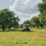 1 Day Wine Tour Around Évora - Visiting Two Wineries in a Day