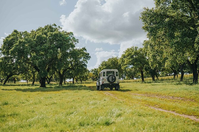 1 Day Wine Tour Around Évora - Visiting Two Wineries in a Day