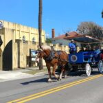 #1 Historical Horse Drawn Carriage Tour - Exploring Beaufort’s Historic District and Its Architecture