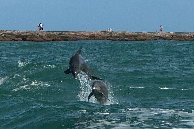 1 Hour Dolphin Dash - Logistics and Meeting Details for Easy Planning