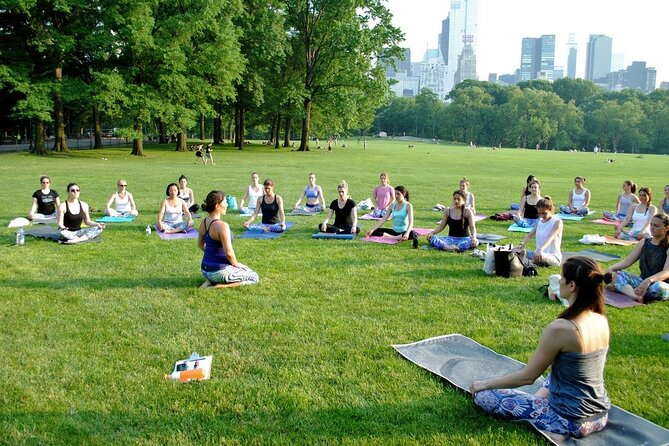 1 Hour Group Yoga Class in Central Park - Group Size and Booking Details