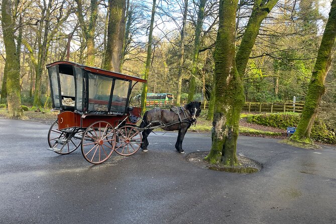 1 Hour Guided Carriage Tour in Killarney National Park - Scenic Route: From Deenagh Lodge to Ross Castle