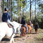 1 Hour Guided Horseback Trail Ride Rock Springs Run State Reserve - Insightful Commentary on Local Ecology and History
