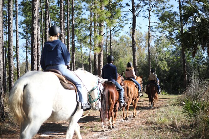 1 Hour Guided Horseback Trail Ride Rock Springs Run State Reserve - Insightful Commentary on Local Ecology and History