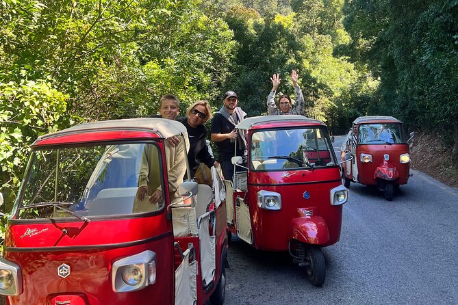 1-Hour Guided Tuk-Tuk Tour in Sintra - Panoramic Views of the National Palace of Sintra