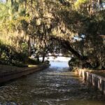 1 Hour Historical Wildlife Tour of The Famous Chain of Lakes - Highlights of the Scenic Route