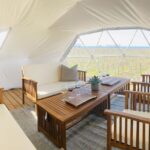 1 Hour Private Vineyard Dome Experience in Niagara-on-the-Lake - The Unique Setting of the Vineyard Dome in Niagara-on-the-Lake