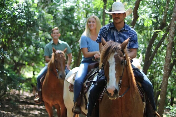 1 Hour Scenic Horseback Ride - Safety and Comfort: Helmets and Group Size