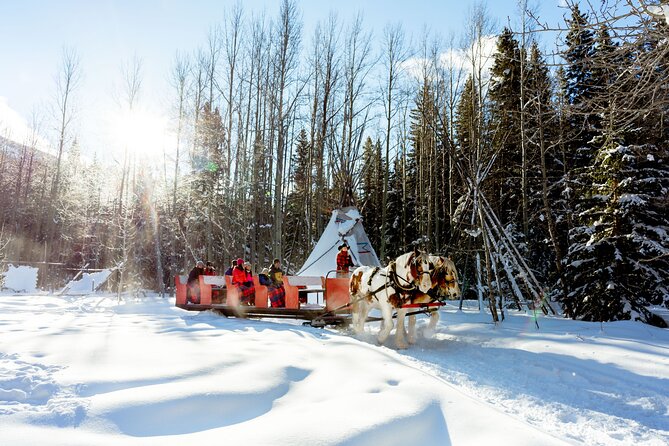 1 Hour Shared Winter Sleigh Ride Experience in Kananaskis - Scenic Stop at the Buffalo Viewing Paddock