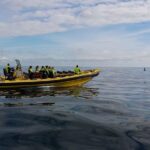 1-Hour Small Group Sightseeing Boat Tour in Vestmannaeyjar - Exploring the Sea Caves and Rock Formations around Vestmannaeyjar