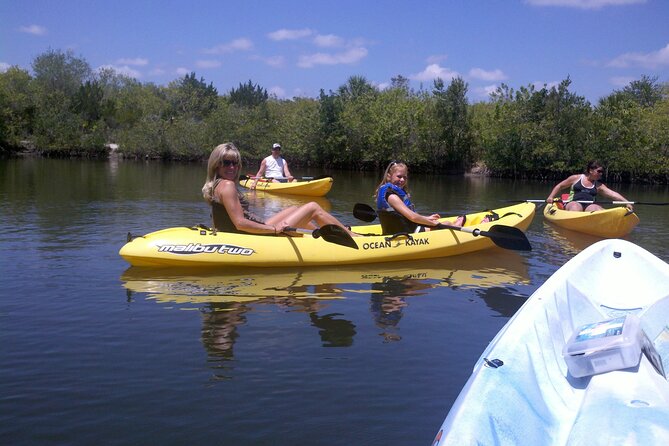 1-Hour Tandem Kayak Rental with Manatee & Dolphin sightings - Discover the 1-Hour Tandem Kayak Rental at Manatee Cove Park