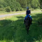 1-hour tourist walk with guide - Starting Point at Le Haras des Ouches Equestrian Center