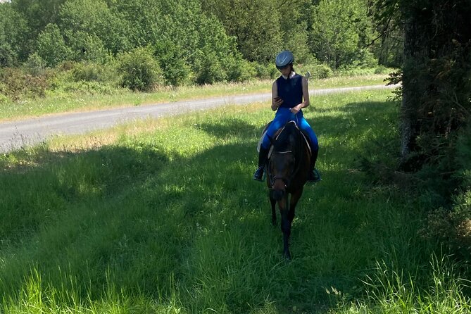 1-hour tourist walk with guide - Starting Point at Le Haras des Ouches Equestrian Center