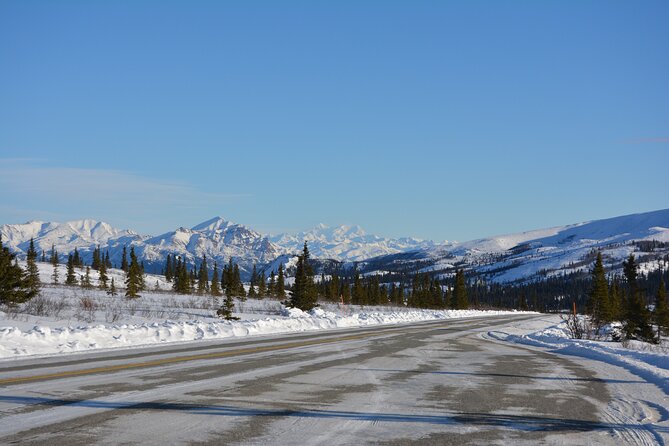 10 Hours Denali Winter Drive in Alaska - Starting Point and Tour Logistics in Fairbanks