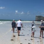 10,000 Islands Excursion Small-Group 3.5 hour Dolphin & Shelling Boat Tour - Exploring Dixie County: Shelling on a Remote Barrier Island