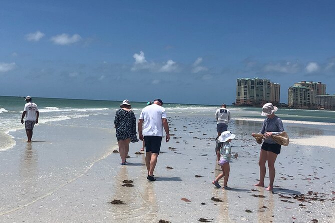 10,000 Islands Excursion Small-Group 3.5 hour Dolphin & Shelling Boat Tour - Exploring Dixie County: Shelling on a Remote Barrier Island