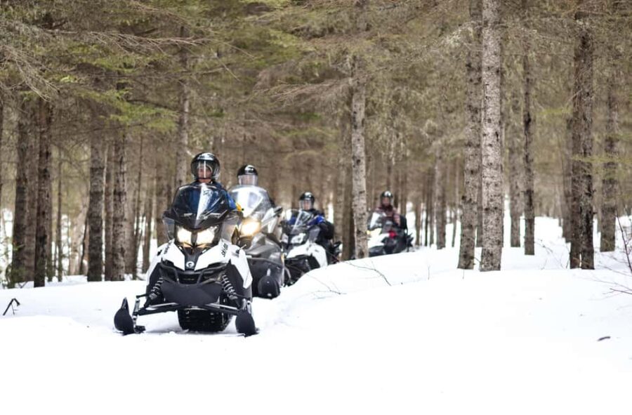 15 min. Tadoussac: Snowmobile Expedition in Saguenay Fjord - Guides and Customer Service Experience