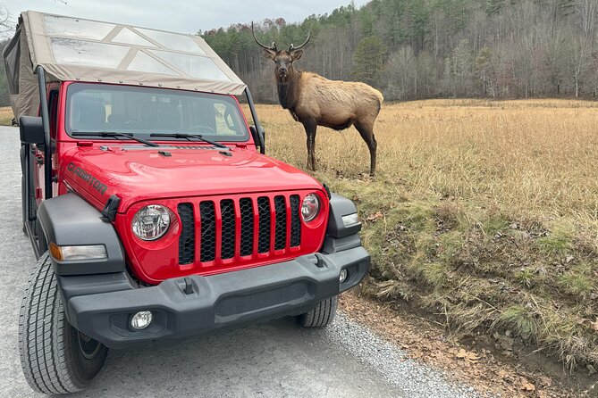 2.5-3 hour Smoky Mountain Cherokee Blue Ridge Parkway Safari tour - The Open-Air Safari Jeep: Feel the Mountain Breeze