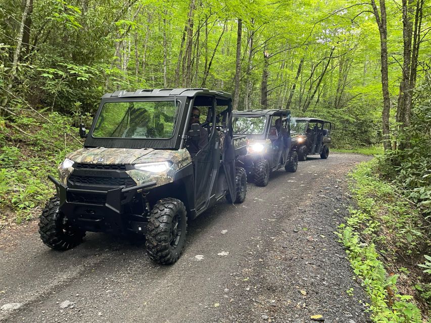 2.5-3 HR Maggie Valley: Guided Scenic UTV Adventure - Scenic Rides on the Smoky Mountain Ridgelines