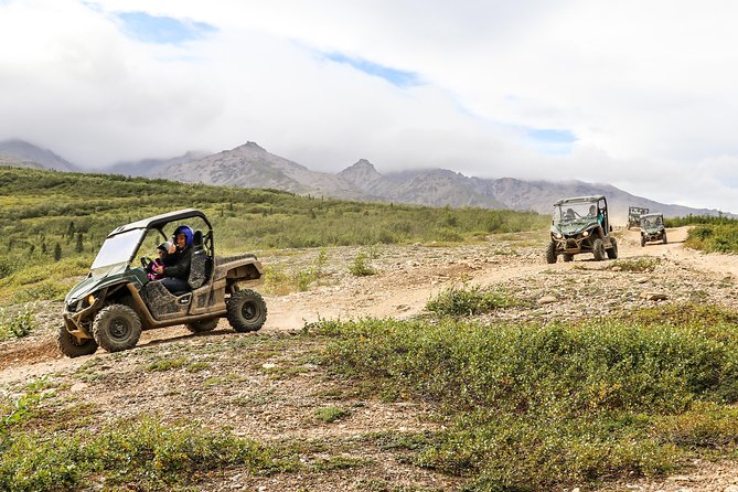 2.5-Hour Denali Wilderness ATV Adventure Tour - Choices of ATV: Single or Double Rides