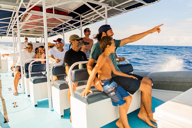 2.5-Hour Whale Watching On A 41' Super-Raft - Meeting at Kailua-Kona for Whale Watching