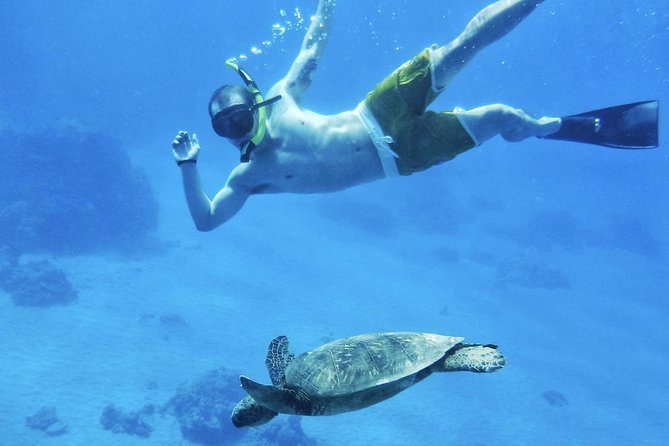 2.5 Hour Xpress Snorkel from Kaanapali Beach - Starting Point at Kaanapali Beach: Easy Access and Convenient Check-In