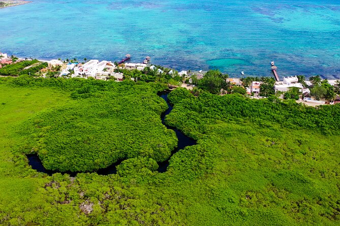2 Cenotes Guided Snorkeling Adventure in Tulum - Visiting Casa Cenote: Lush Vegetation and Fish Abundance
