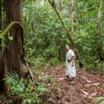 2 Day Lacandon Jungle, the Lost City and Bonampak Ruins - Starting the Adventure from Palenque in the Morning