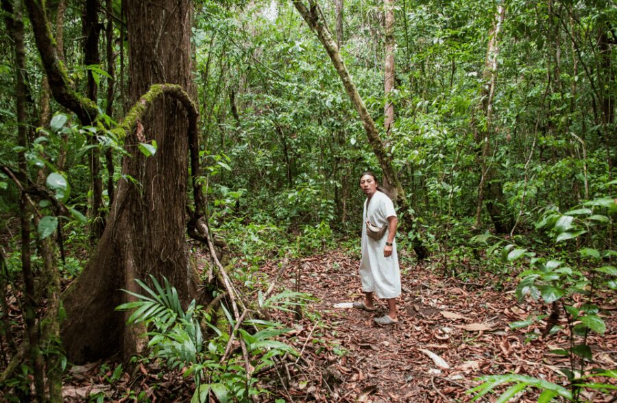 2 Day Lacandon Jungle, the Lost City and Bonampak Ruins - Starting the Adventure from Palenque in the Morning