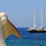 2-day Tour from Athens to Santorini and Mykonos - Ferry Journey to Santorini: Scenic Views and Calm Seas