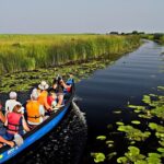 2 Days Private Tour from Bucharest to Black See and Danube Delta - Logistics and Transportation Details