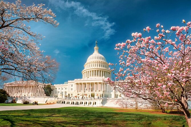 2 Days Slow-Paced & Seniors Washington DC Tour from New York - Comfortable Transportation and Accessibility Features