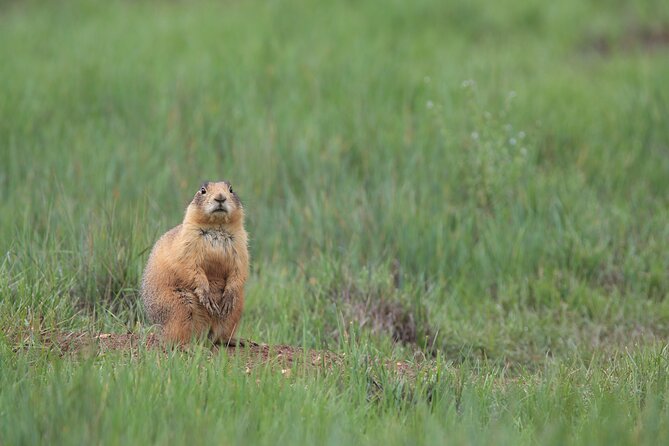2-Hour, 4-seat ATV Rental next to Bryce National Park - What’s Included in the ATV Rental Experience