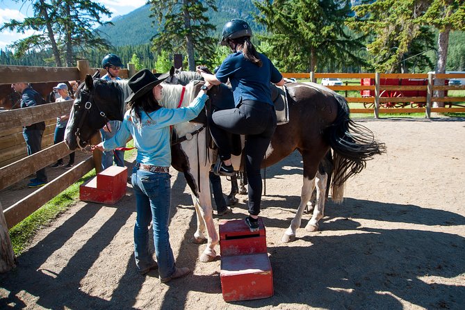 2 Hour Banff Horseback Riding Adventure - The Horses: Well-Trained and Gentle Companions