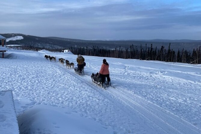 2-Hour Basic Dog Mushing School (with Transportation) - Starting Your Dog Mushing Journey in Fairbanks