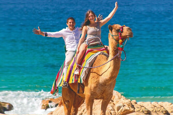 2-Hour Camel Ride Beach and Desert Adventure Experience - Exploring Baja Californias Natural and Cultural Wonders