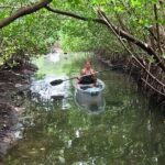2-Hour Clear Kayak Rentals in St Pete, FL - Clam Bayou - Location and Meeting Point at Clam Bayou, St Pete