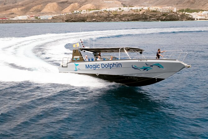 2-Hour Dolphin Watching Experience in Fuerteventura - Comfort and Facilities Onboard
