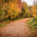 2 Hour E-Bike Tour of Charlottetown - Starting Point and Tour Schedule