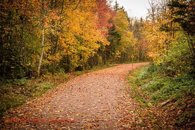 2 Hour E-Bike Tour of Charlottetown - Starting Point and Tour Schedule