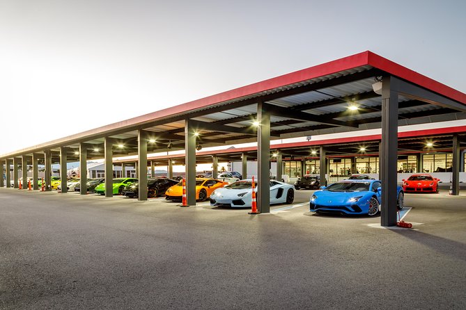 2-Hour Exotic Car Driving Experience in Las Vegas - The Wide Range of High-Performance Cars